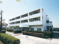 株式会社ニチイケアパレス 青葉台・求人番号250048